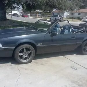 my beast