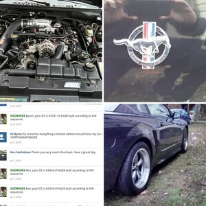 The project