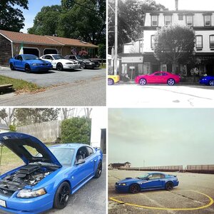 2004 Blue Devil