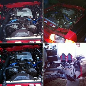 All of my Mustangs