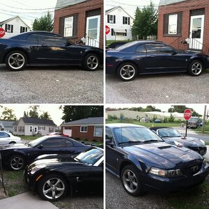 2001 mustang project