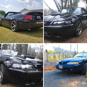 Post your SN95 (1994 - 2004) Mustangs Here!