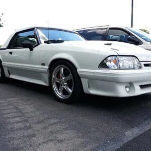 my vert