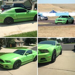 My 2013 Mustang GT (Gotta Have It Green)