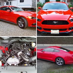 2015 mustang V6