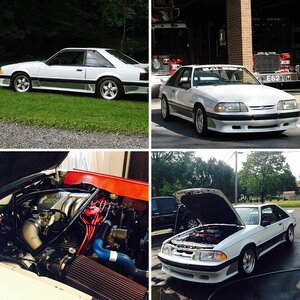 1Stang2Go's album