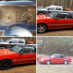 Kim's 87 GT Vert