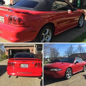 Scottmike 97 cobra