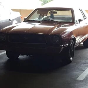 Myrtle Beach Mustang Week 2016