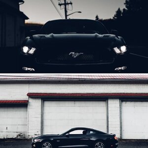 Nachturnal's 2017 GT Fastback