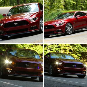Ruby Red 2016 GT