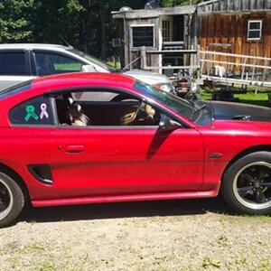 98 stang gt