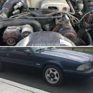 Royal Blue 93 lx