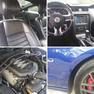 2014 Mustang for Sale