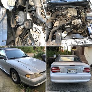 1994 Free Mustang Budget Build