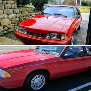 My stang
