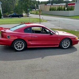 n.j. 96 svt cobra