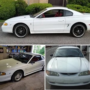 The_Muffstang_SN95