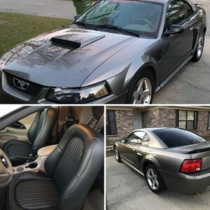 Seth’s GT