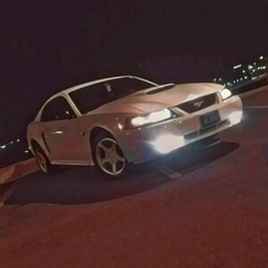 The Stang