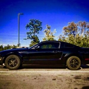 my 2005 mustang