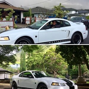 Mustang_Josh_808