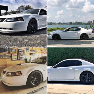 Betty White - 2002 GT