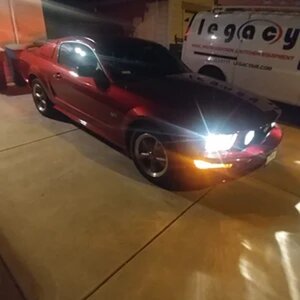 Stang