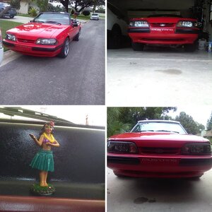 my mustang pics