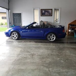 2004 gt