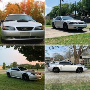 2003 Mustang GT