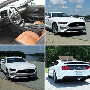 Guy's 2018 GT Premium A-10
