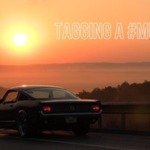 Mustang from Turkey