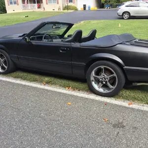 89 vert