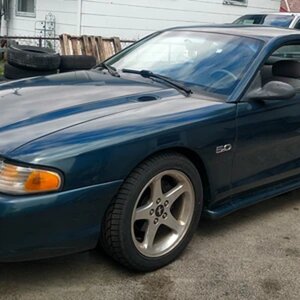 My Stang...