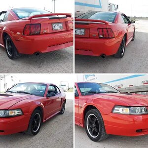 My first stang