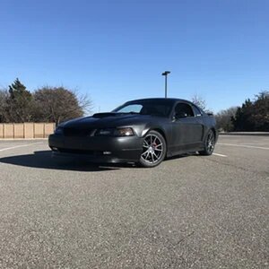 first mustang