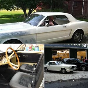 1964 1/2 Mustang Project