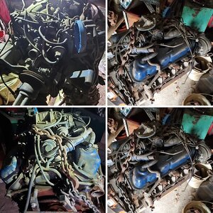 FOR SALE: Mexican Mustang 302 with Airtubes
