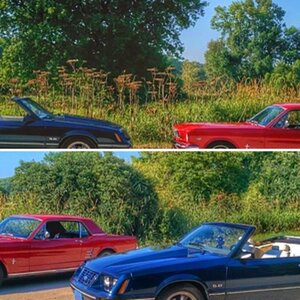 My 2 latest Stangs