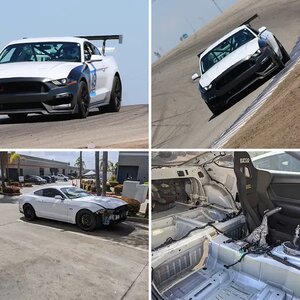2018 GT