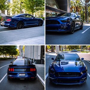 Lavish5.0