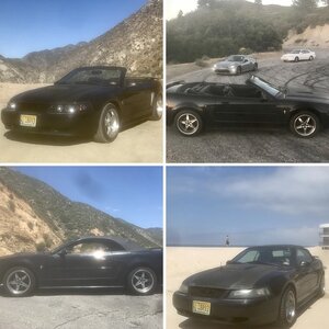 Shag’s Stang