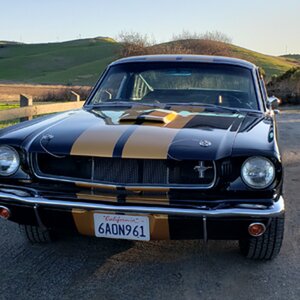 Hertz 347