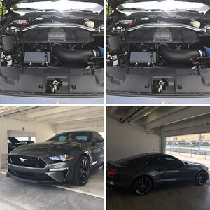 2019 GT PP2
