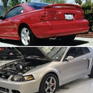 Tim's Mustangs