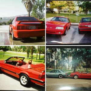 Tim's Standard V8 Mustangs