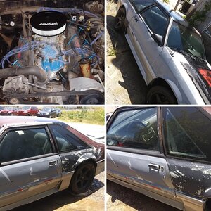 My project
