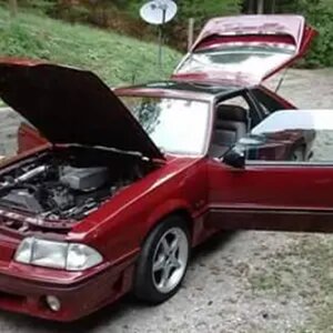 Tks Stang