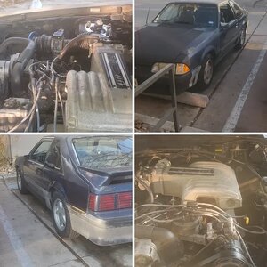 91' mustang